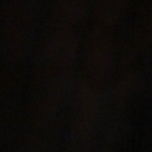 Meet your Posher, Terry